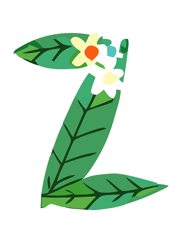 Letter 'Z' with green leaves and flowers on a white background
