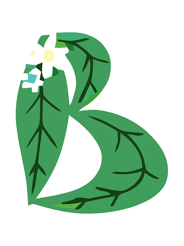 Green letter 'B' with floral design on a white background