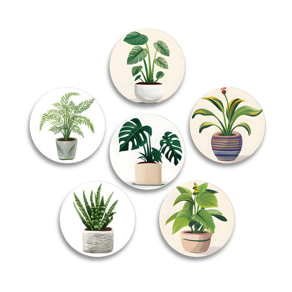 A set of six round paint-by-numbers coasters with various potted plant illustrations.