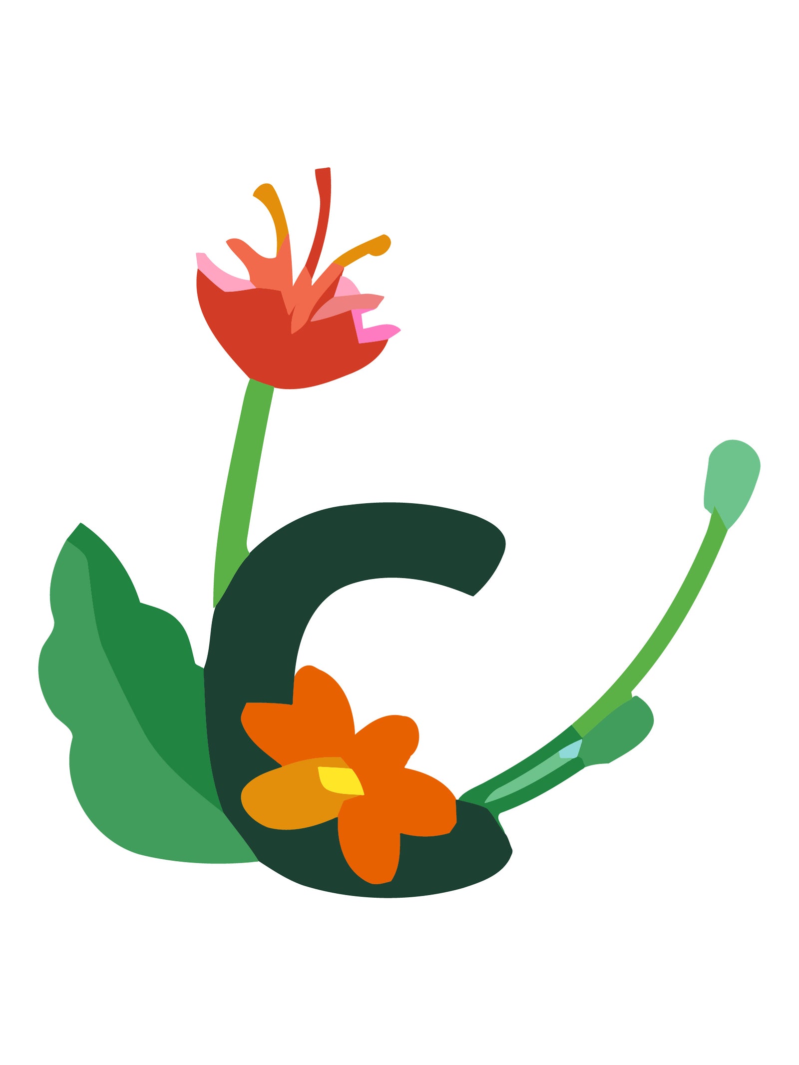 Buchstabe „C“ mit Blumen und Blättern auf weißem Hintergrund