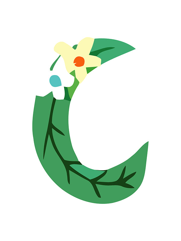 Green letter 'Q' with floral elements on a white background