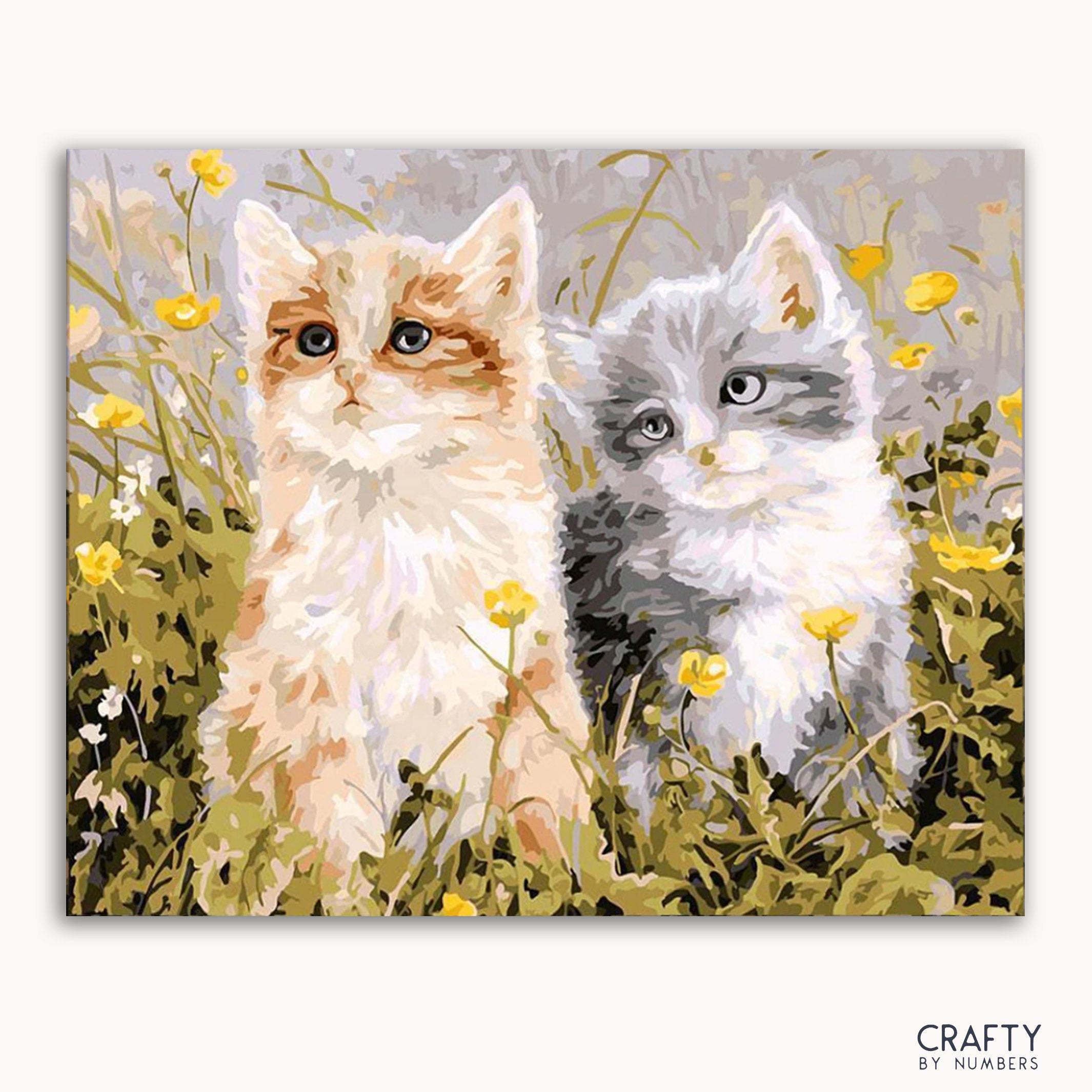A paint-by-numbers kit depicting two cats sitting in a field with yellow flowers.