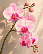 Pink Orchids