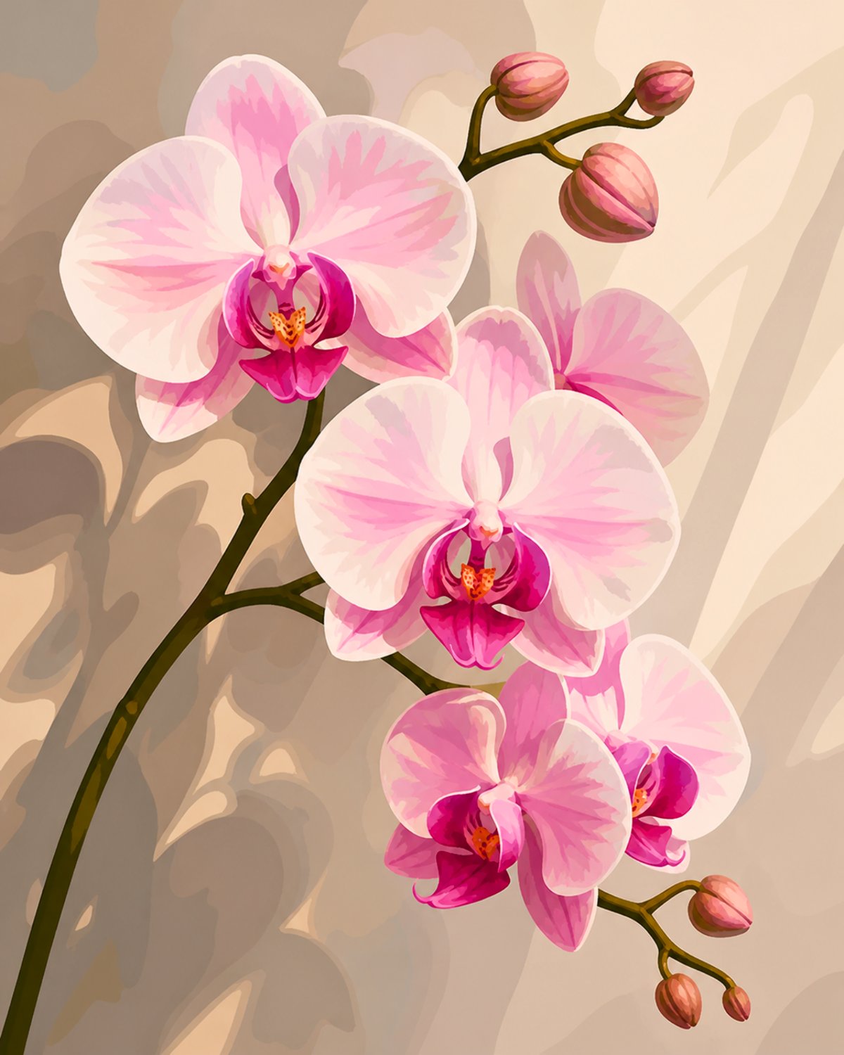 Pink Orchids