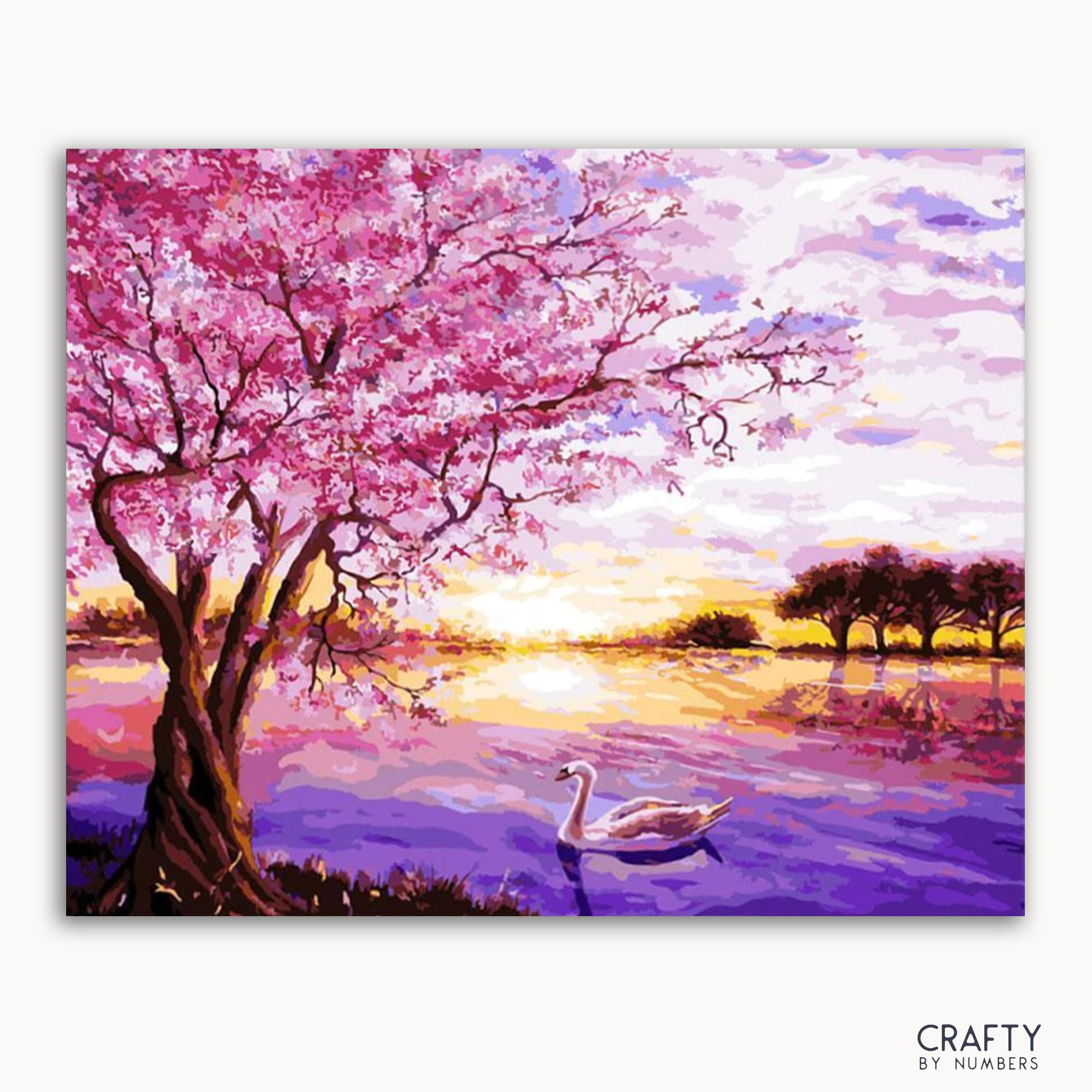 A Paint By Numbers kit depicting a serene landscape with pink blossoms on trees, a body of water, and a swan.
