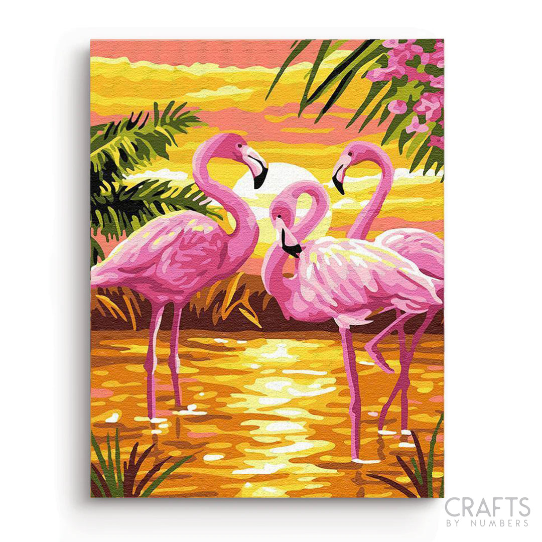 Flamingos bei Sonnenuntergang