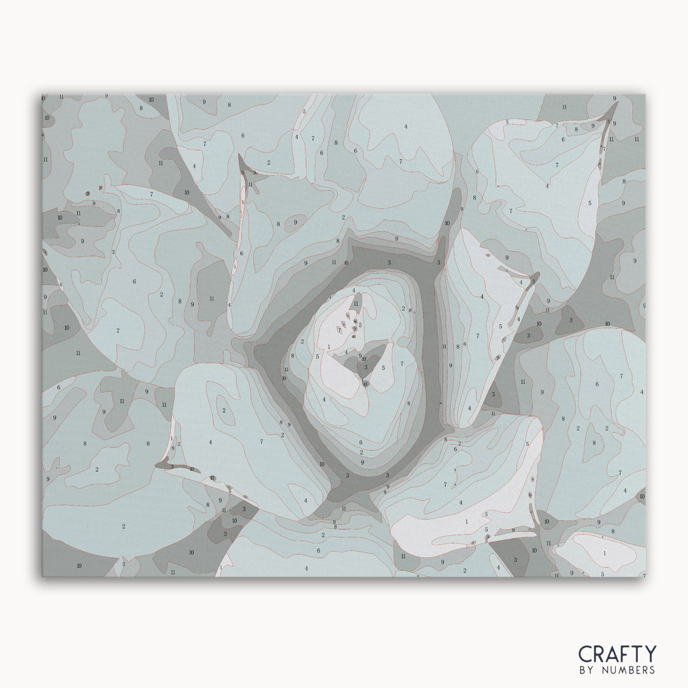 Succulent paint by number artwork inspired by famous paintings and van gogh famous paintings style.