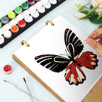 Butterfly drawing on paper with watercolor paints and brushes in the background