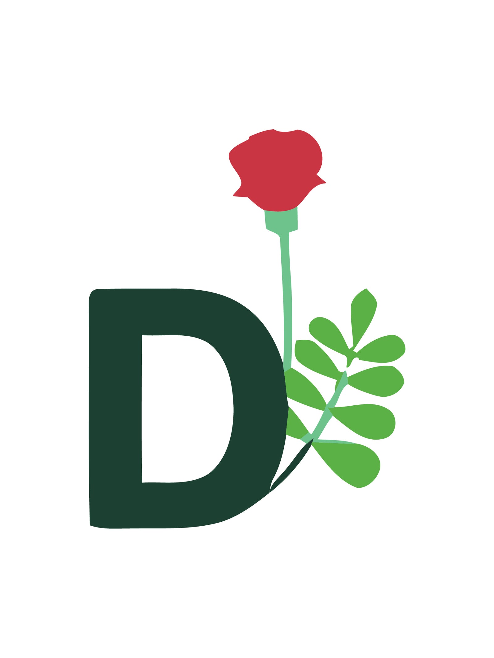 Buchstabe „D“ mit einer roten Rose auf weißem Hintergrund