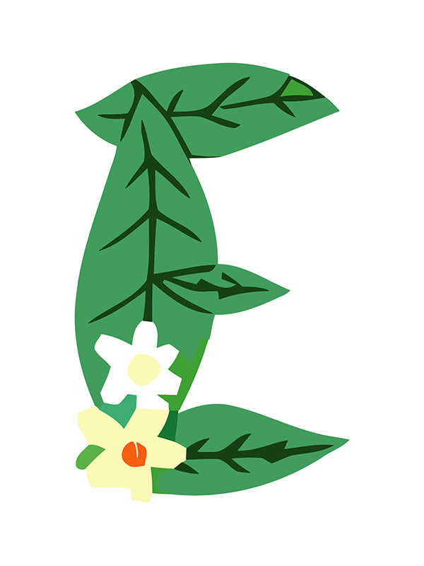 Decorative letter 'C' with green leaves and flowers on a white background