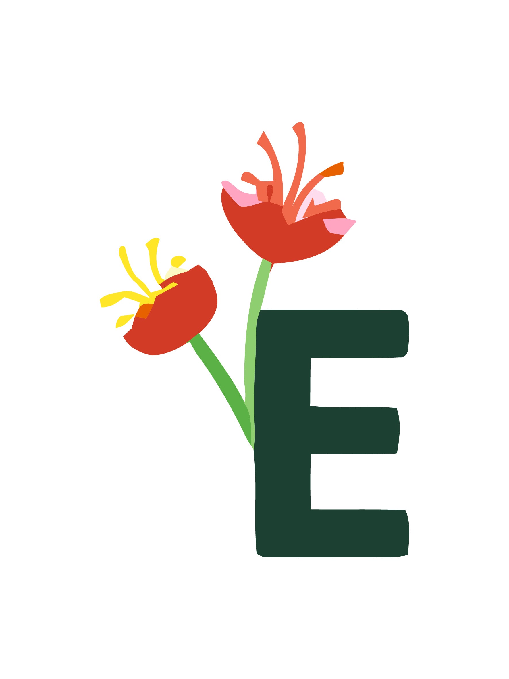 Letter 'E' with red flowers on a white background