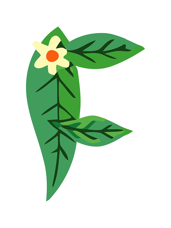 Letter 'F' with green leaves and a white flower on a white background