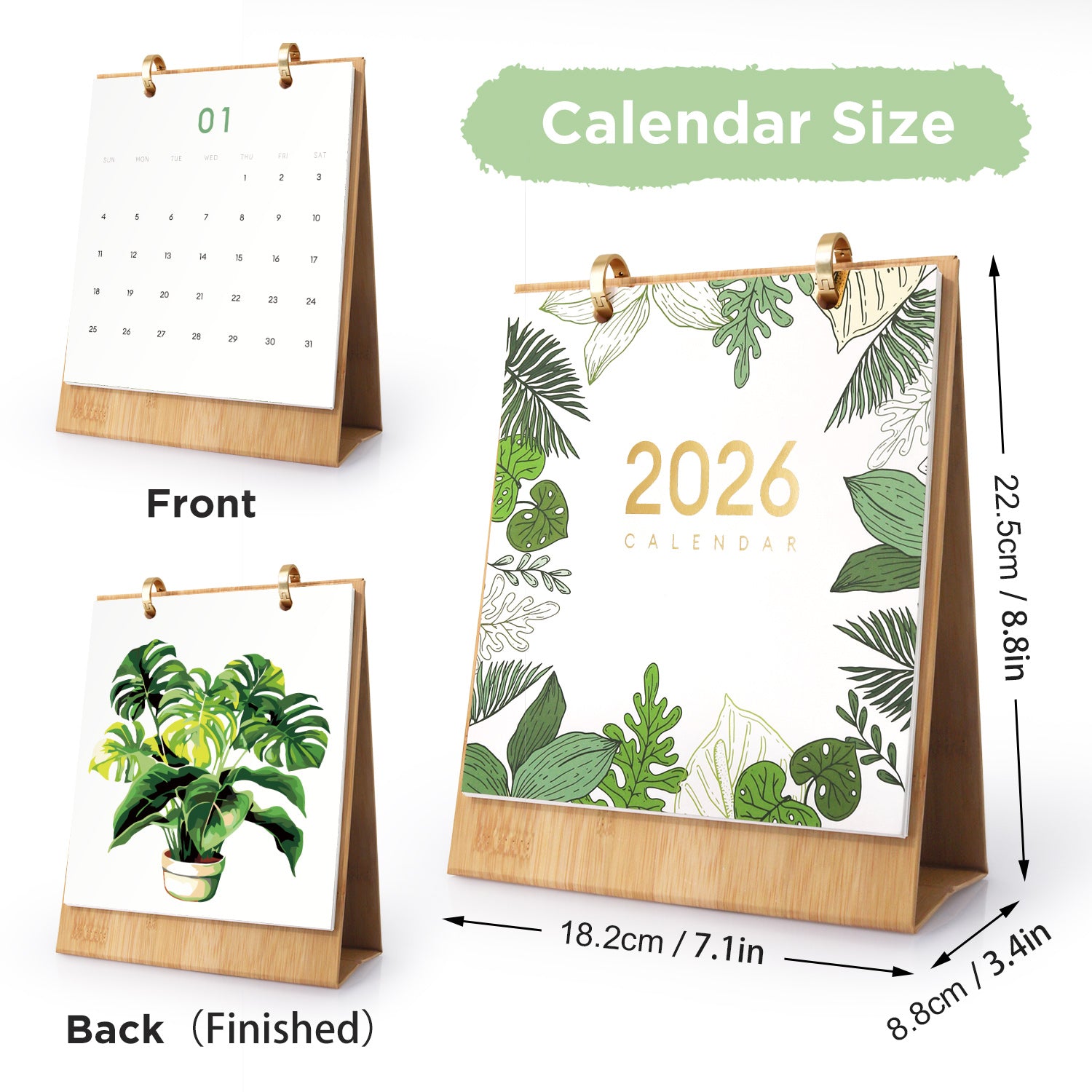 Calendario de escritorio 2026 con diseño vegetal, vistas frontal y posterior y dimensiones.