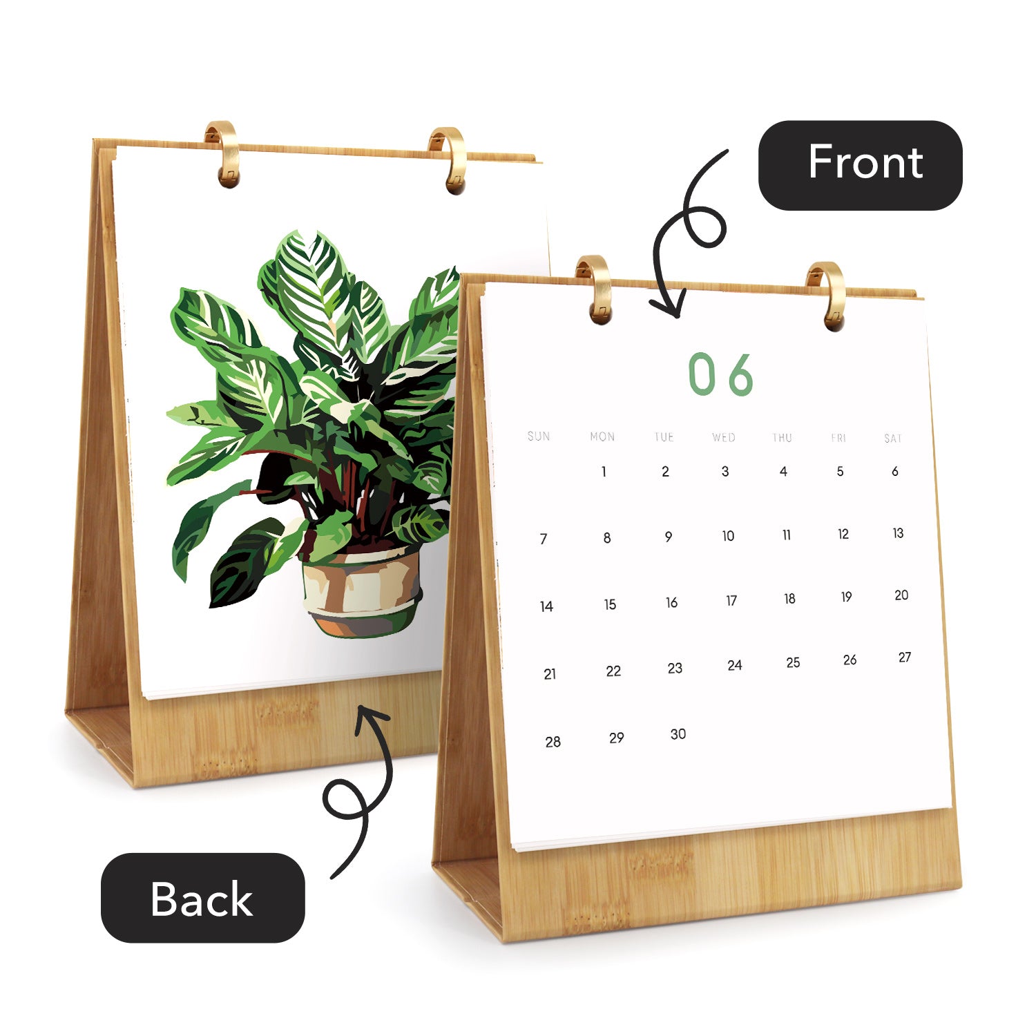 Calendario con diseño vegetal en el anverso y página lisa en el reverso, mostrado por ambos lados.