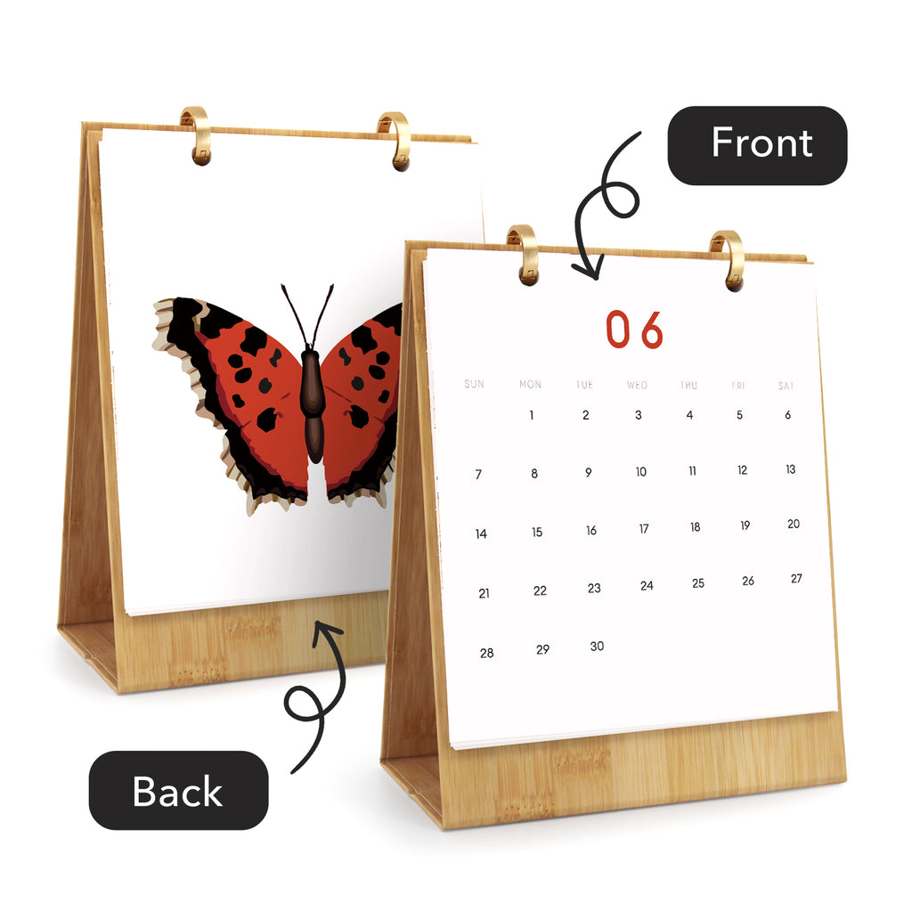 Kalender mit Schmetterlingsdesign auf der Vorderseite, der sowohl die Vorder- als auch die Rückseite zeigt.