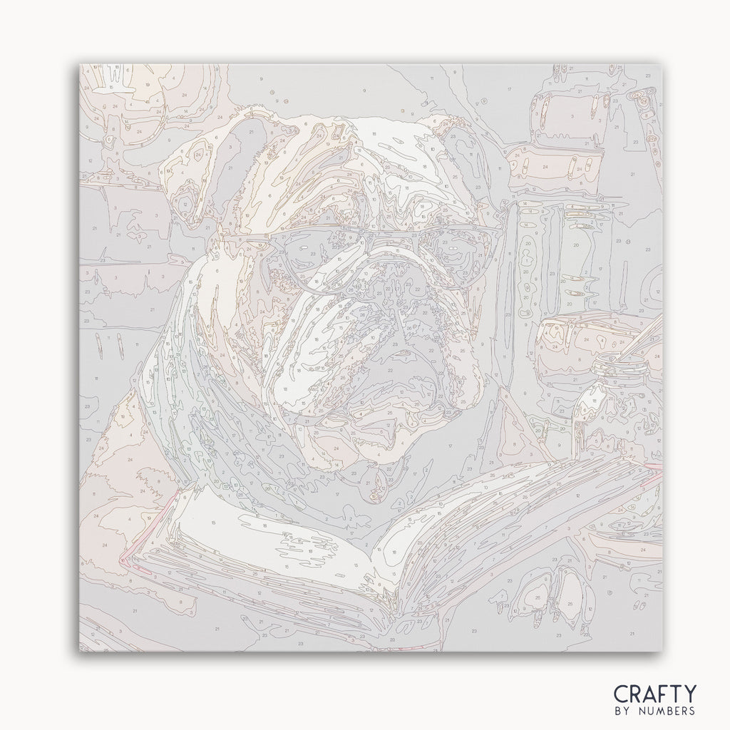 Detailed English Bulldog Reading paint by numbers design