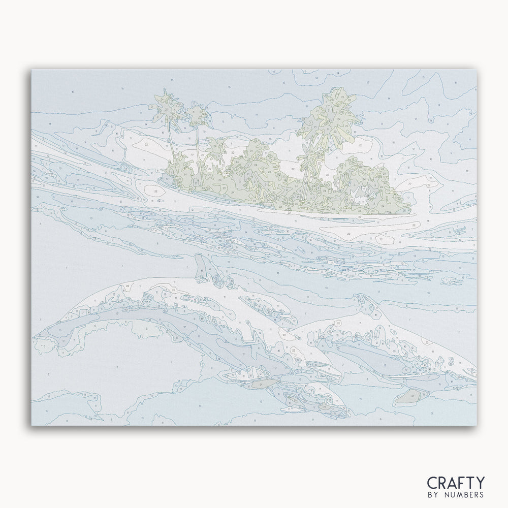 Dolphins Paradise paint by numbers kit with jumping dolphins at sunset