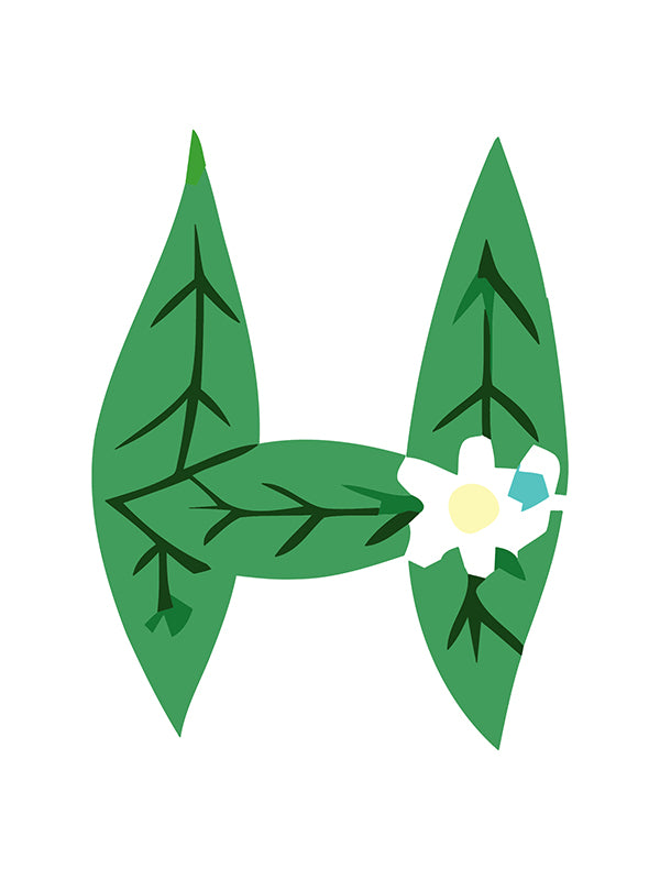 Green leaf-shaped earrings with a white flower in the center on a white background