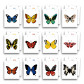Calendar with images of butterflies on each day, arranged in a grid.