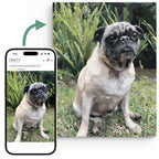 Custom Paint by Numbers Kit