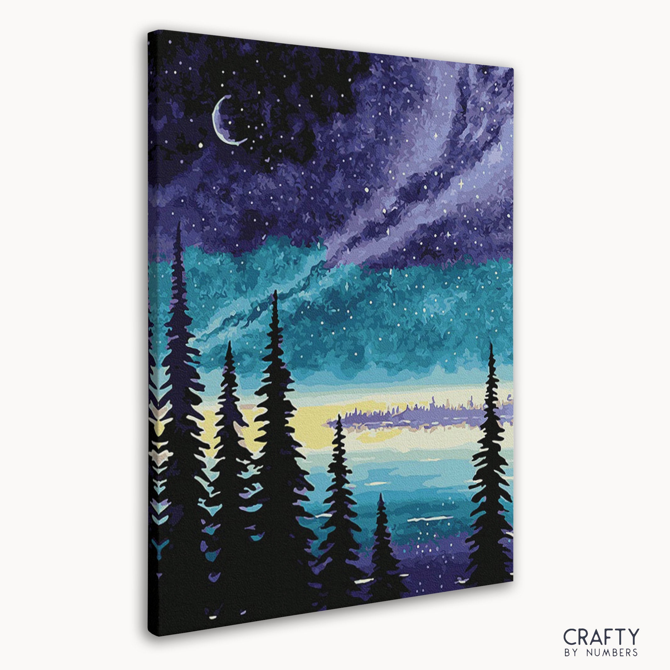 Close-up of Night Lake paint by numbers canvas details