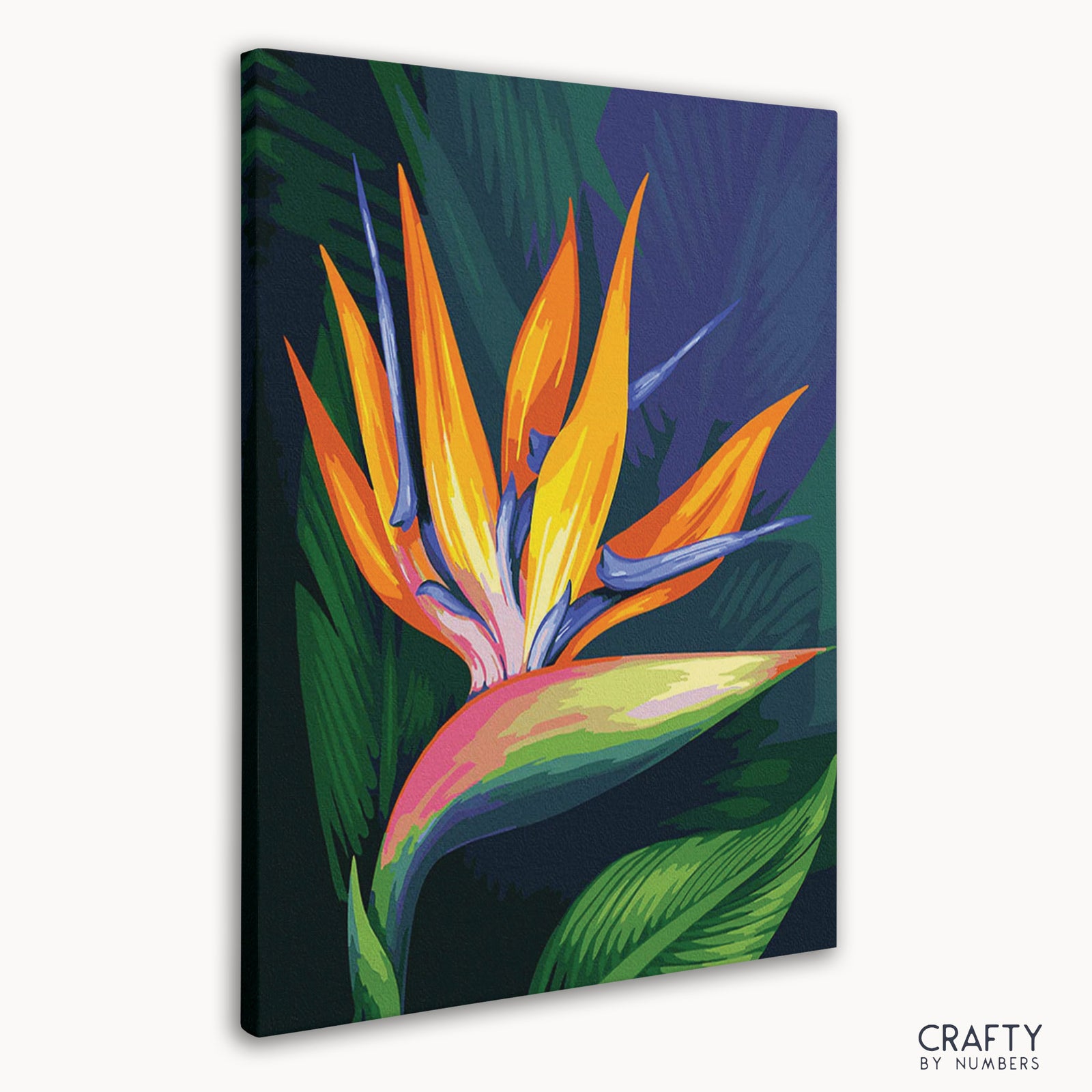 Close-up detail of Bird of Paradise Flower artwork
