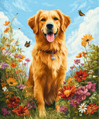 Golden retriever standing in a field of colorful flowers with a blue sky background