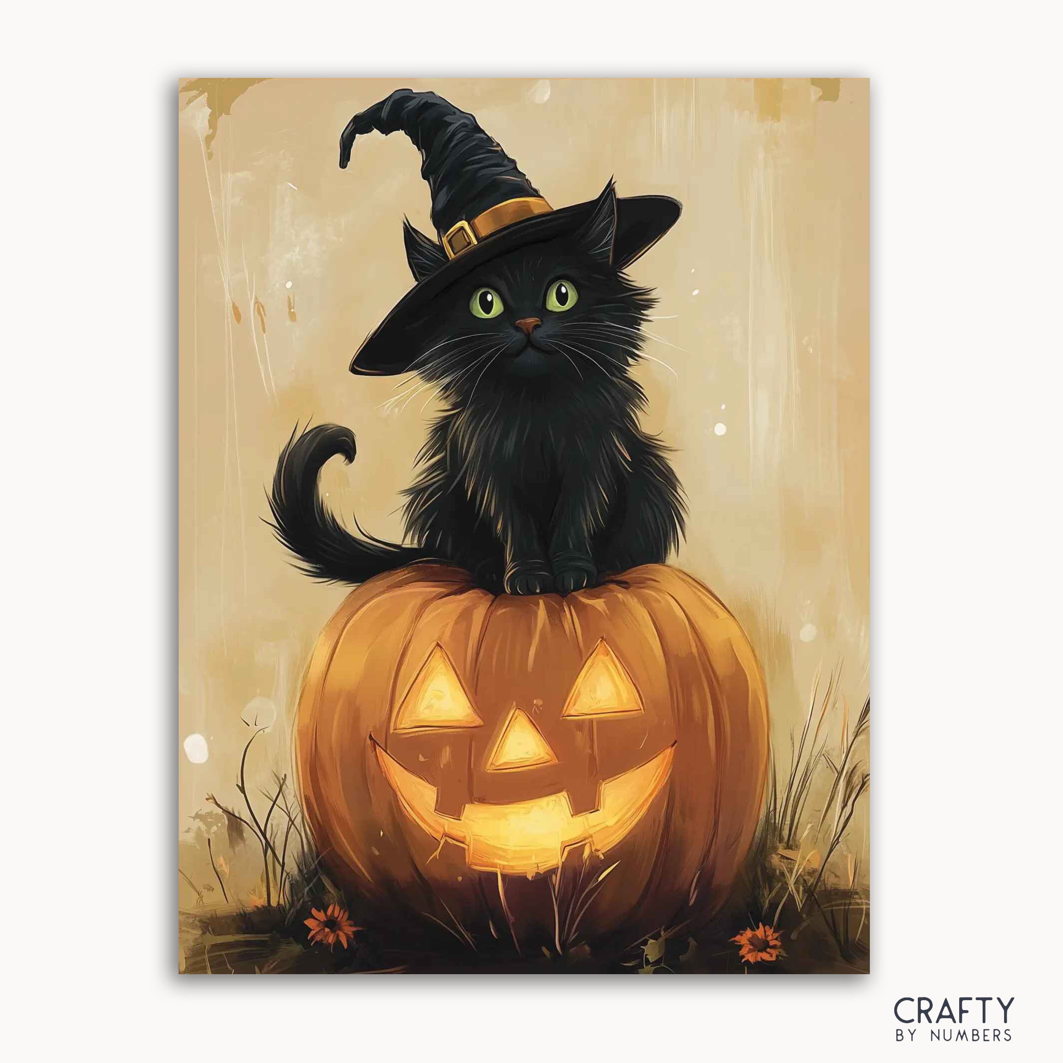 A paint by numbers kit featuring a black cat wearing a witch's hat sitting on a pumpkin with a jack-o-lantern face.
