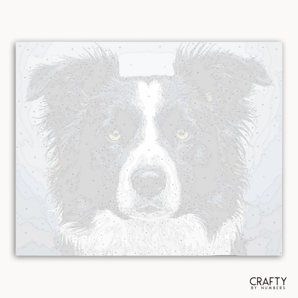 Dog's face with a white background and 'Crafty by Numbers' branding.