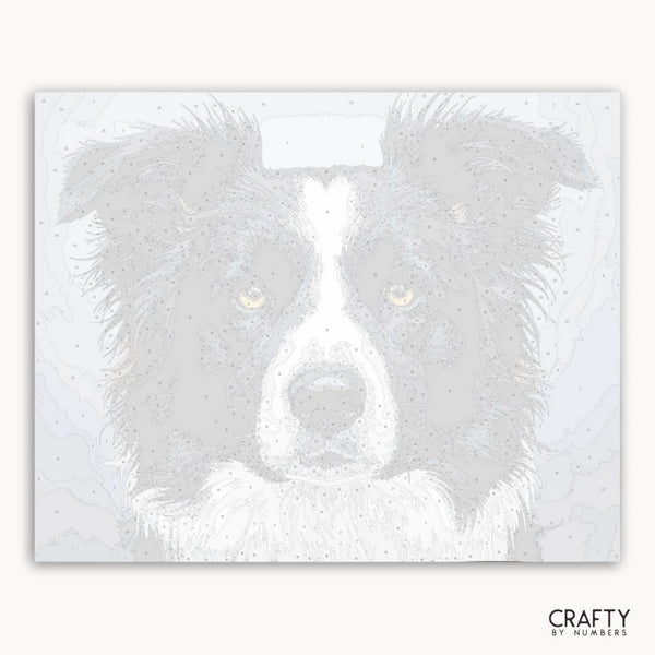 Dog's face with a white background and 'Crafty by Numbers' branding.