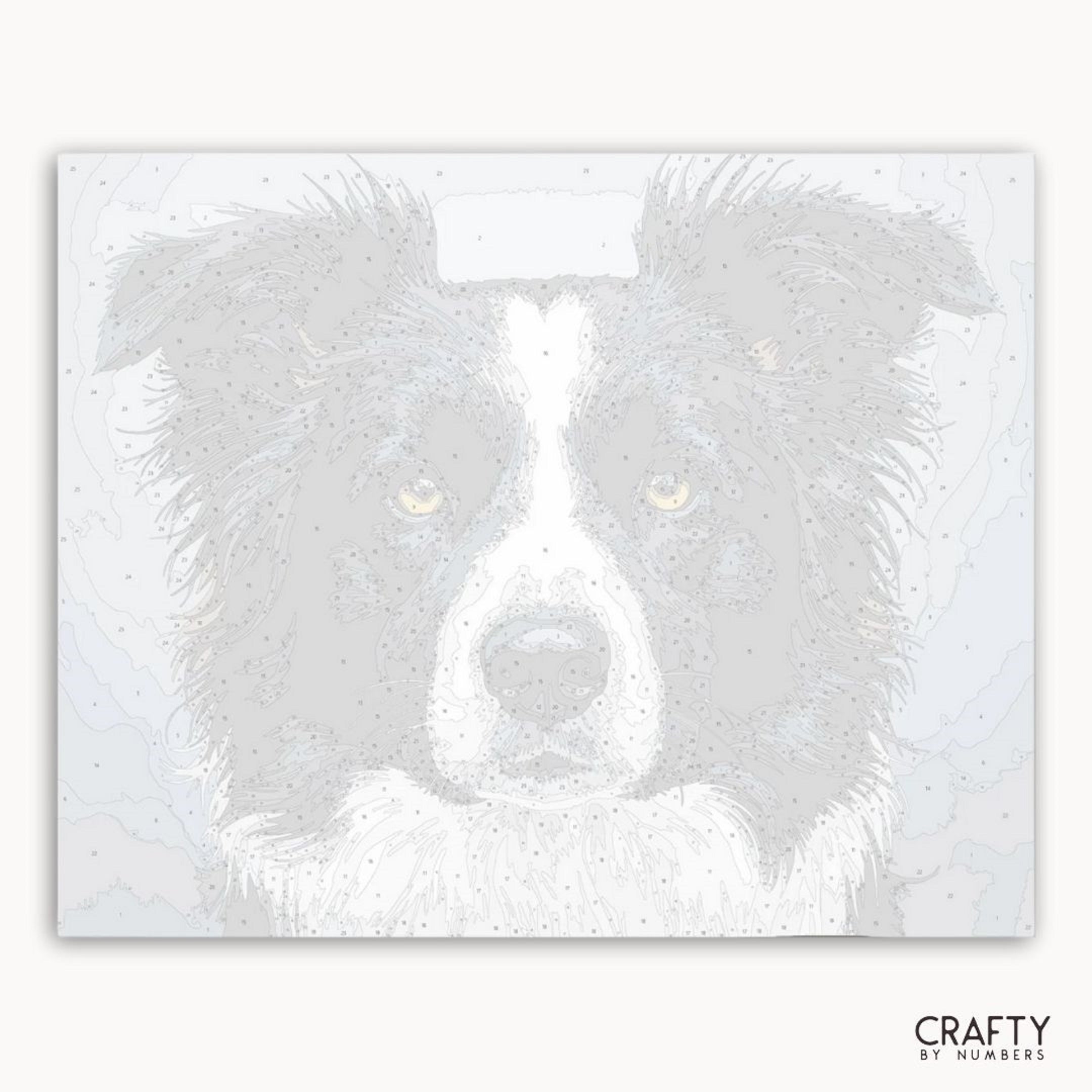 Dog's face with a white background and 'Crafty by Numbers' branding.