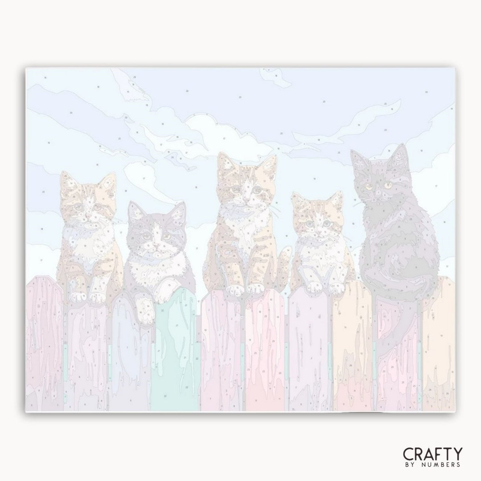 Chatons sur la clôture