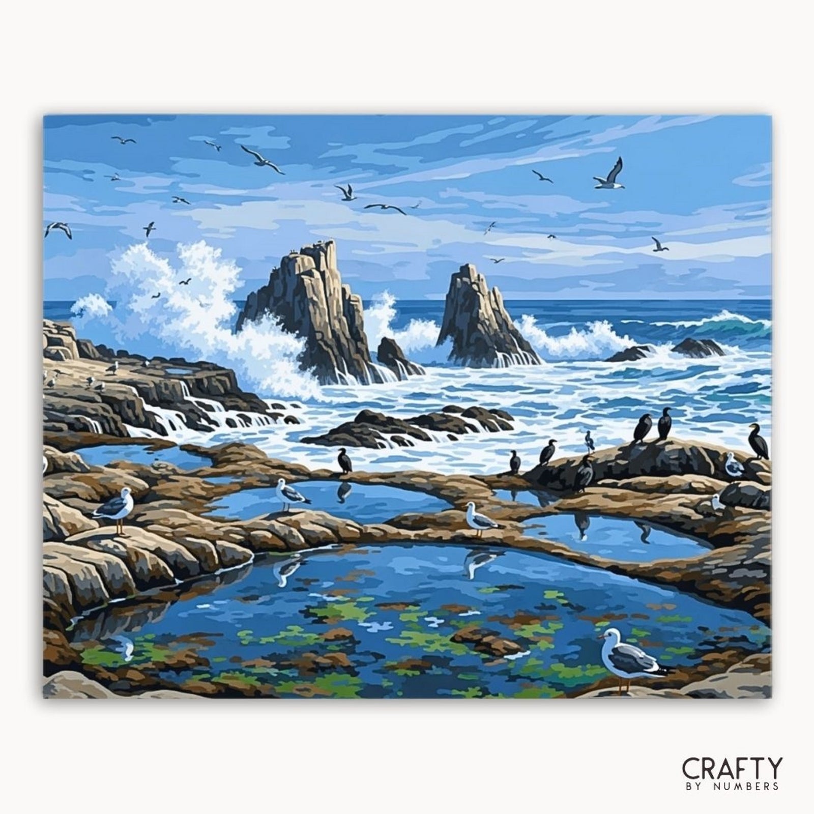 Peinture d'une scène côtière avec des rochers, de l'eau et des oiseaux, mettant en vedette la marque « Crafty by Numbers ».