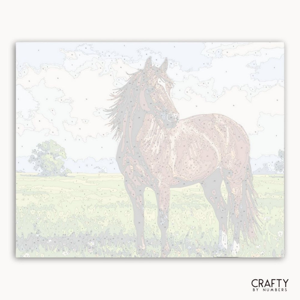 Horse standing in a field with a soft, blurred background