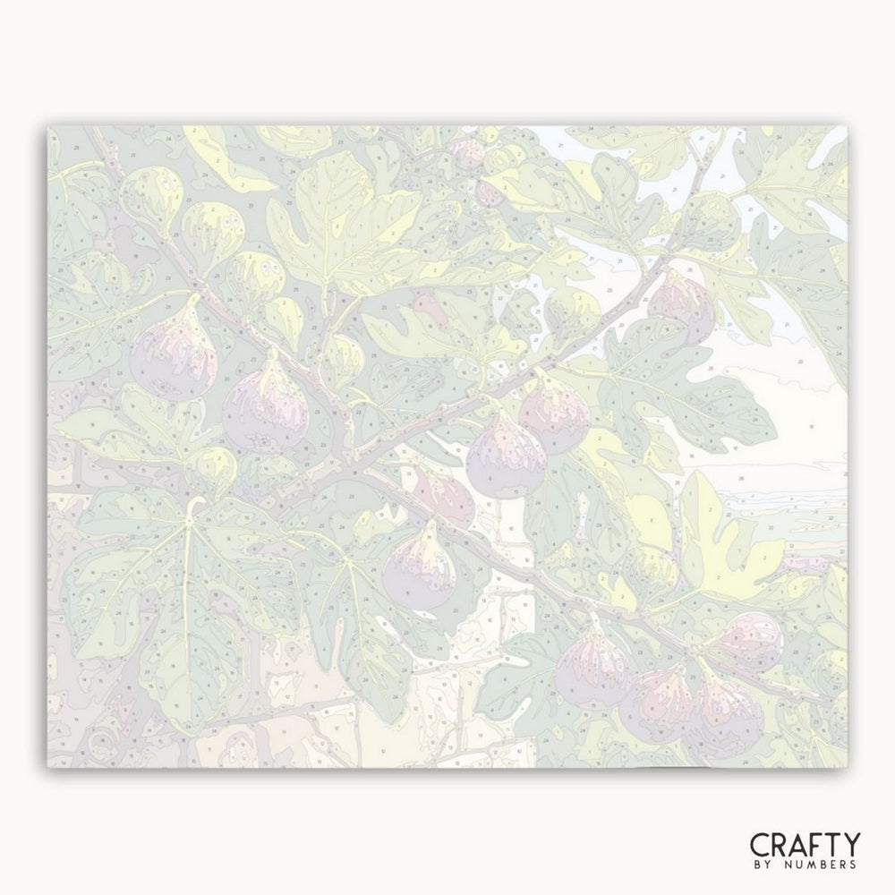 Framed artwork of figs on a branch with a soft, blurred background