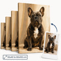 A custom paint by numbers kit, where a user can upload their own photo to create a personalized painting. The image shows a canvas with a child hugging a pet, indicating a custom painting based on a photo.