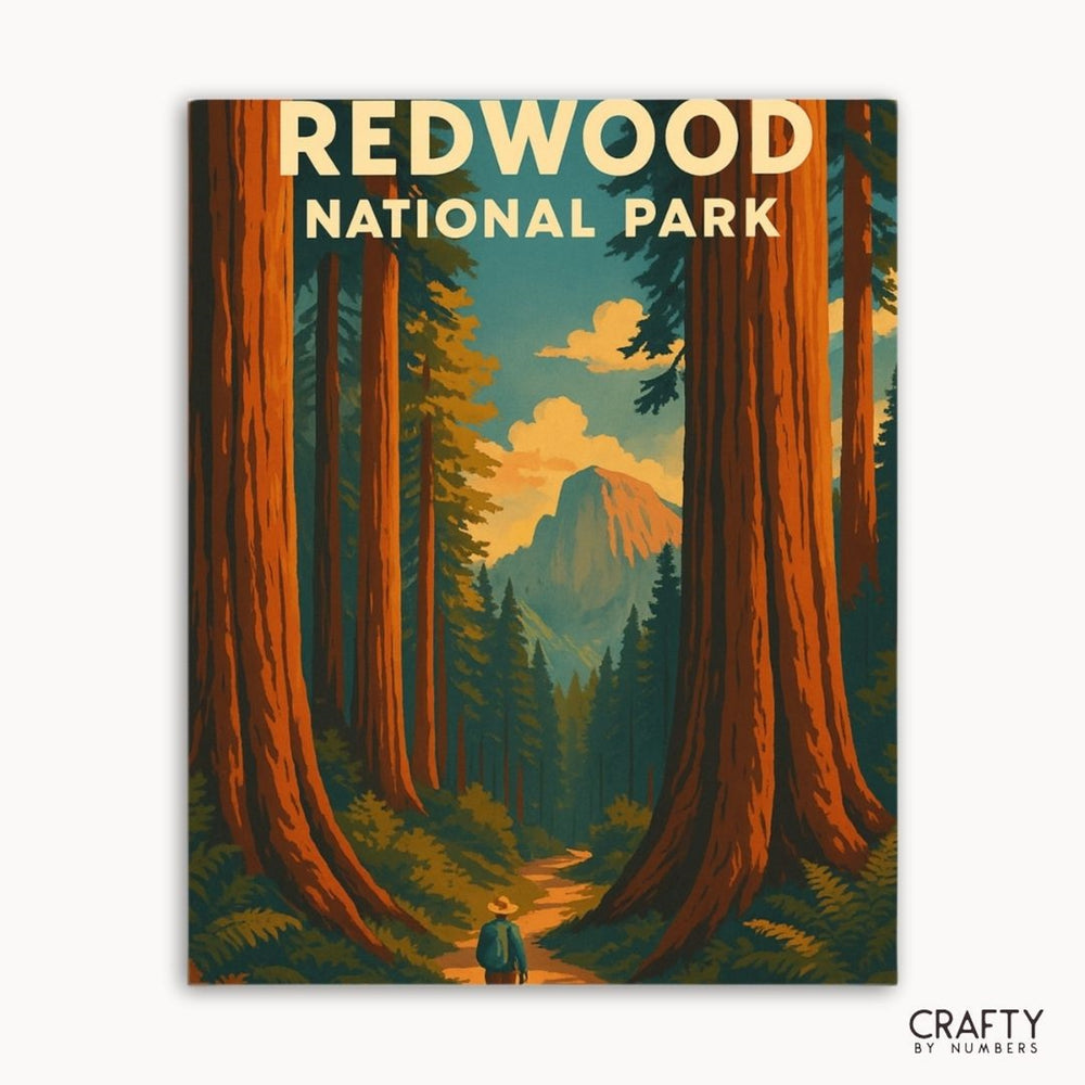 Redwood National Park paint by numbers kit with scenic forest landscape for beginner artists.