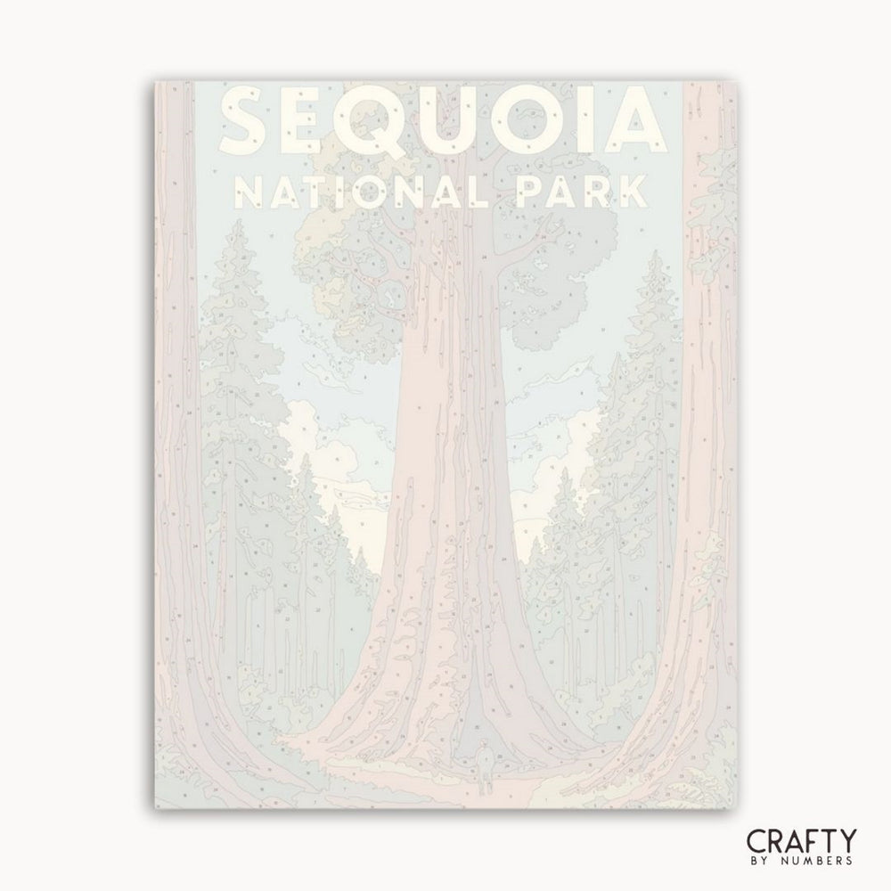 Forest landscape paint by numbers kit inspired by Sequoia National Park for art enthusiasts.