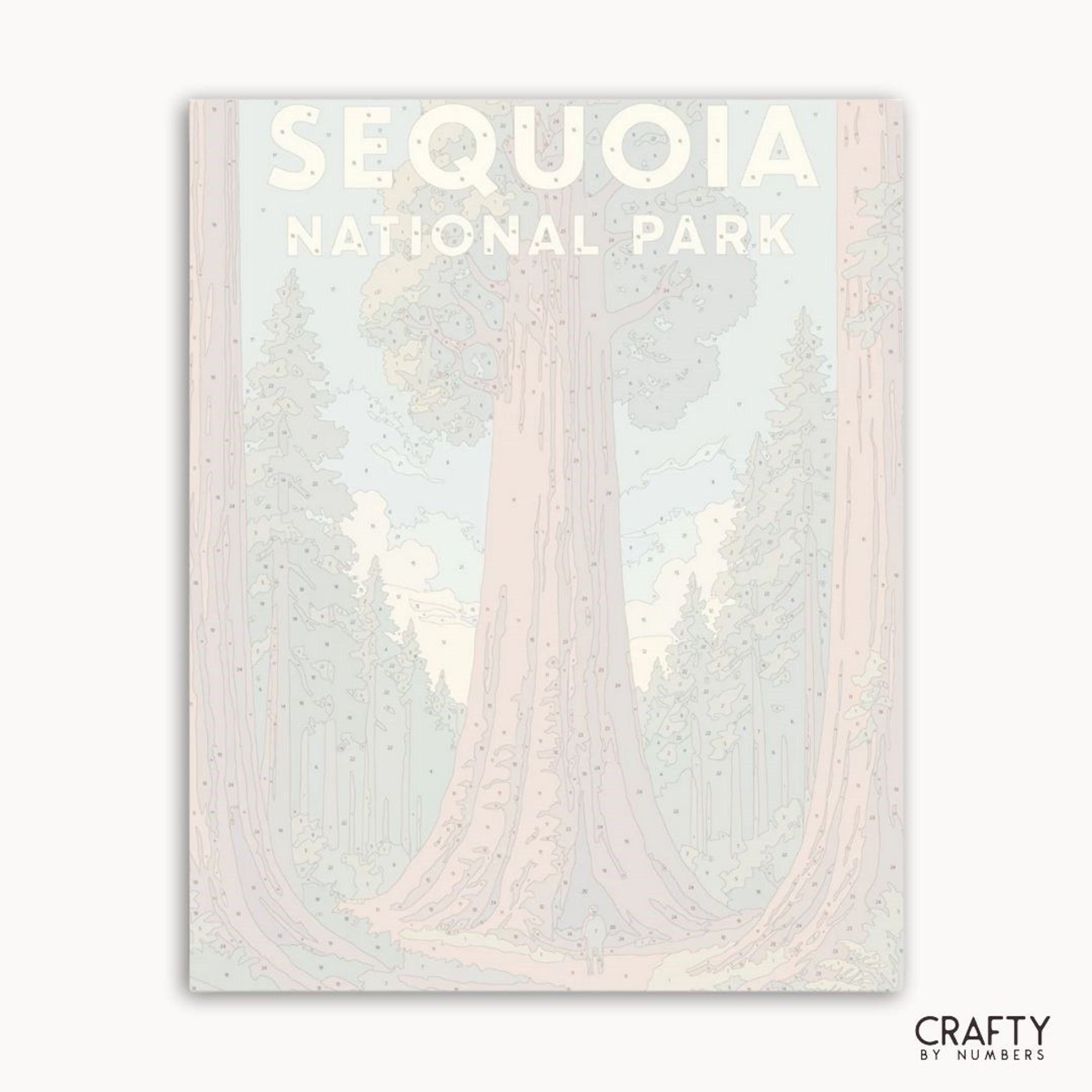Forest landscape paint by numbers kit inspired by Sequoia National Park for art enthusiasts.