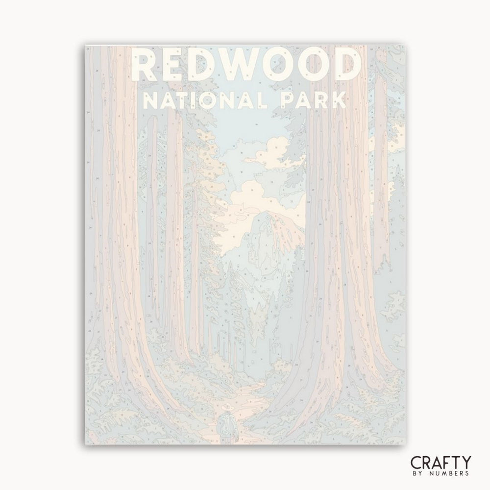 National Park scenery painting kit with detailed redwood forest for paint by numbers lovers.