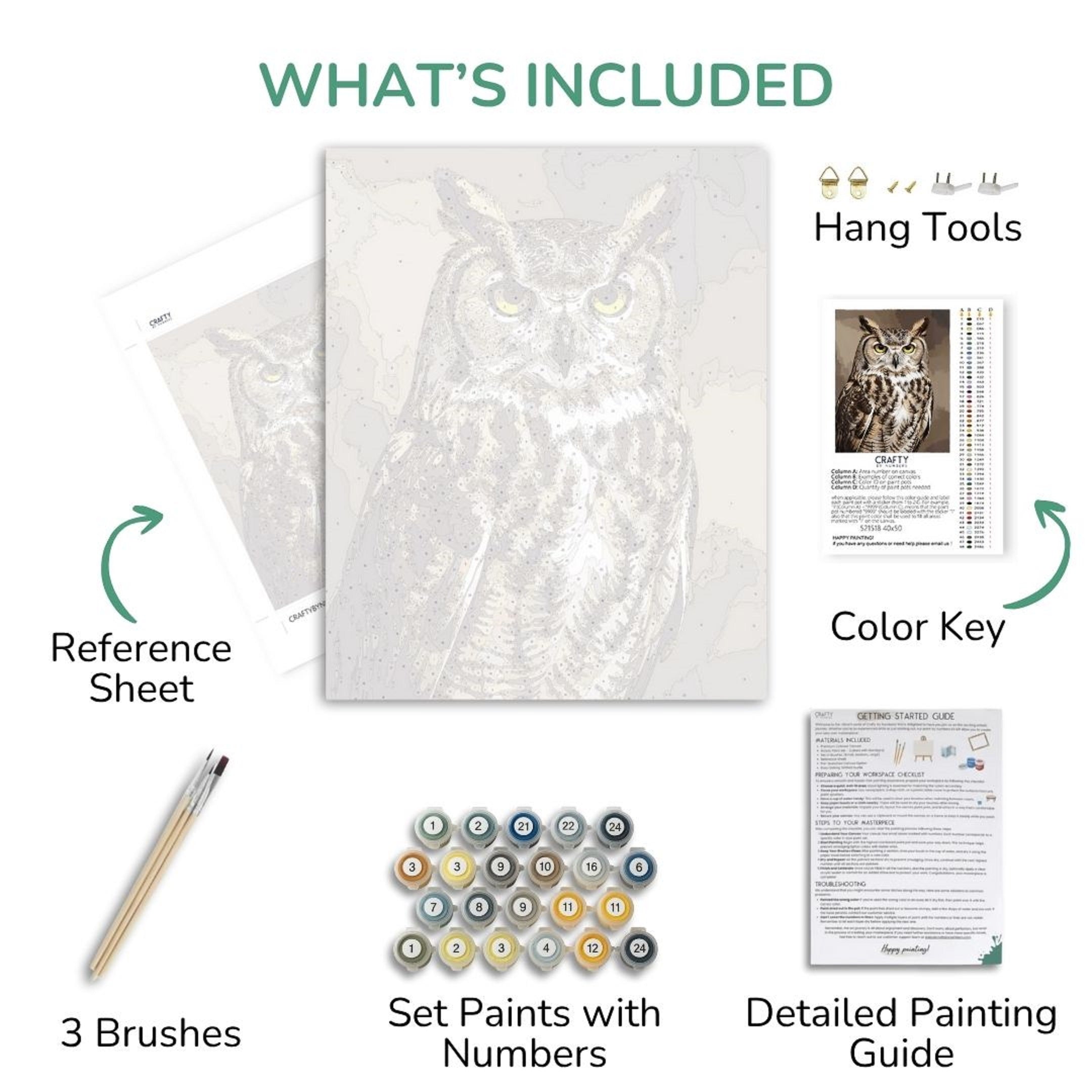Collection of items included in a painting kit with an owl design, including reference sheet, brushes, paint set, color key, and detailed guide.