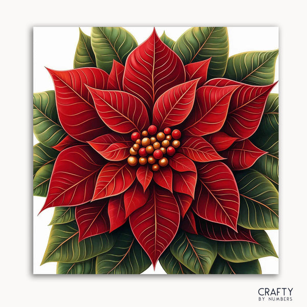 A paint by numbers kit depicting a vibrant red poinsettia flower with green leaves.