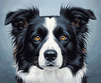 Illustration of a black and white dog with orange eyes on a gray background