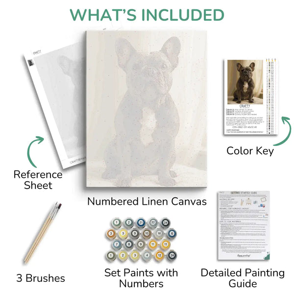 Artistic painting kit components including a reference sheet, linen canvas, brushes, paint set, color key, and detailed painting guide.