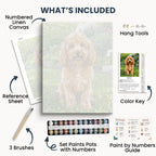 Custom Paint by Numbers Kit contents – numbered canvas, paint pots, brushes, reference sheet, color key and guide included