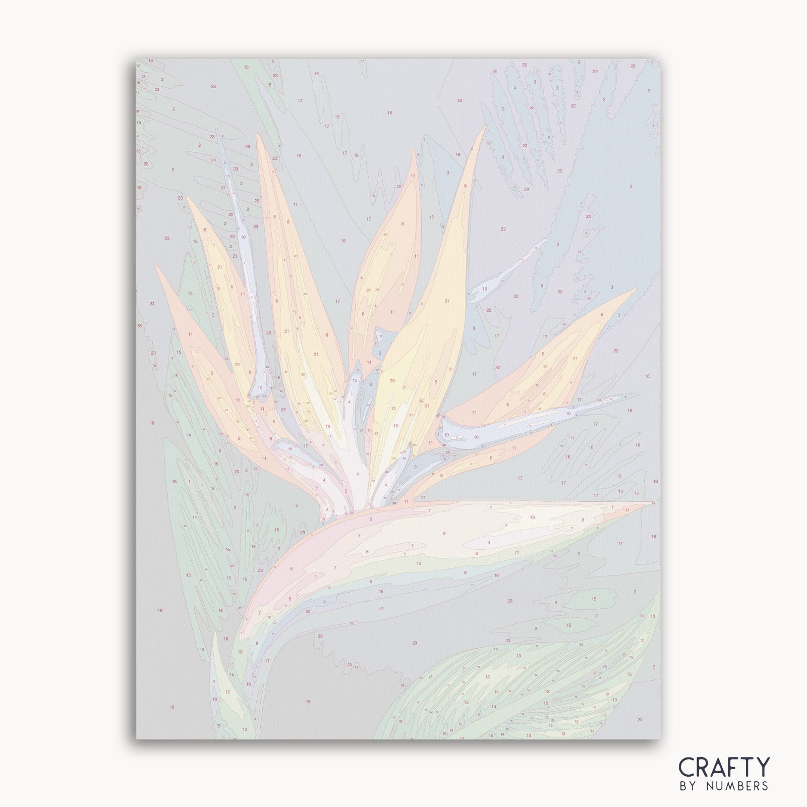 Bird of Paradise Flower paint by numbers kit with canvas and paints