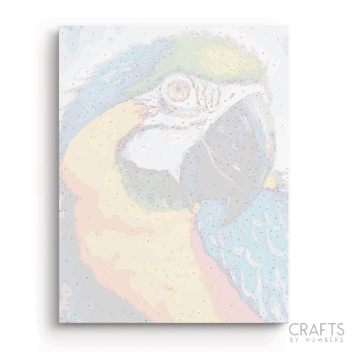 Macaw Portrait