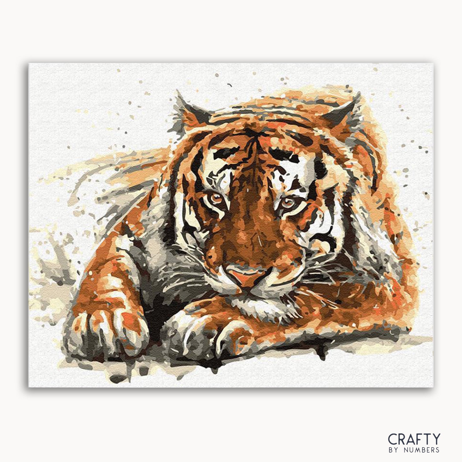 Ein Aquarellgemälde eines liegenden Amur-Tigers mit Schwerpunkt auf seinem Gesicht vor weißem Hintergrund.