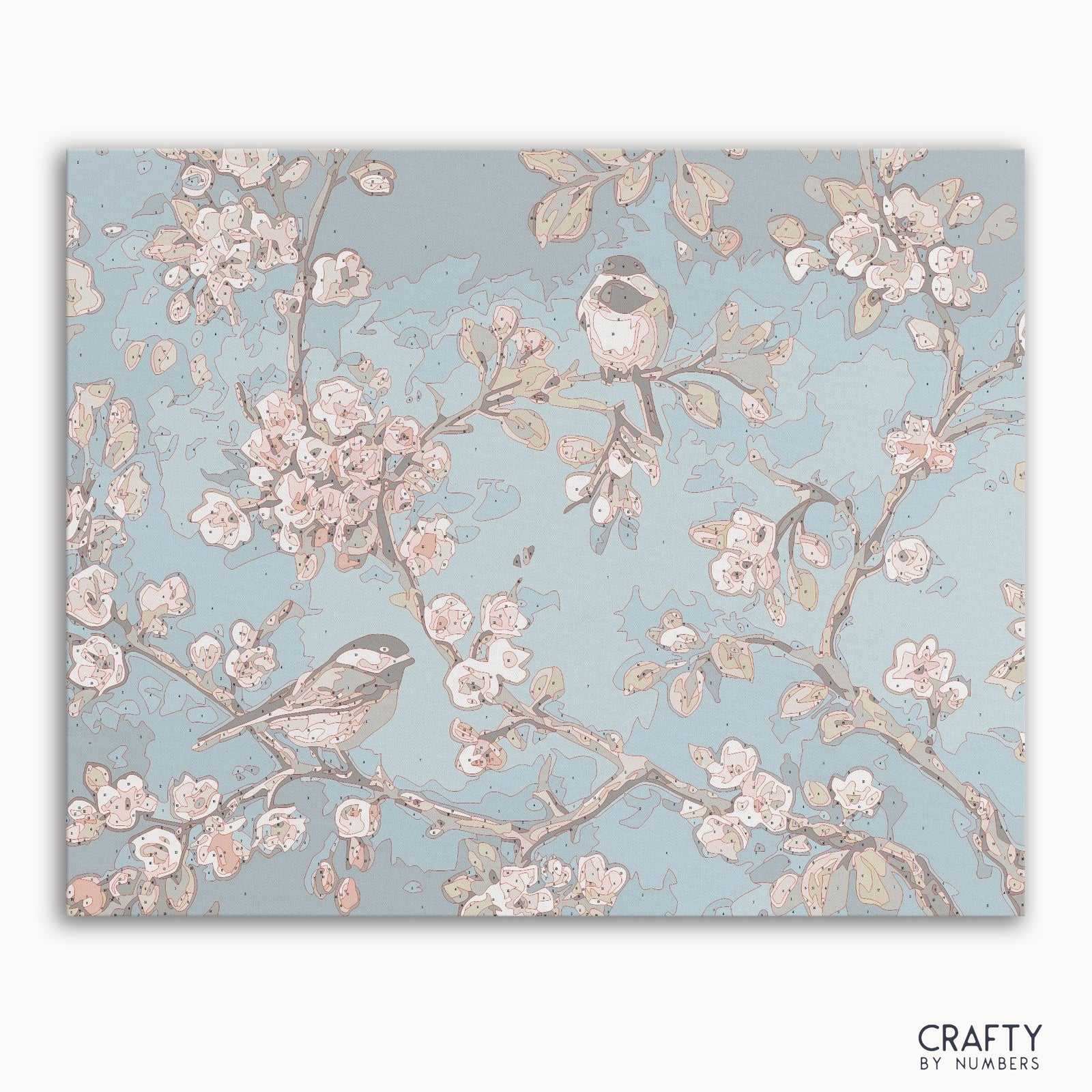 Birds on Branches paint by numbers kit with numbered canvas and paints
