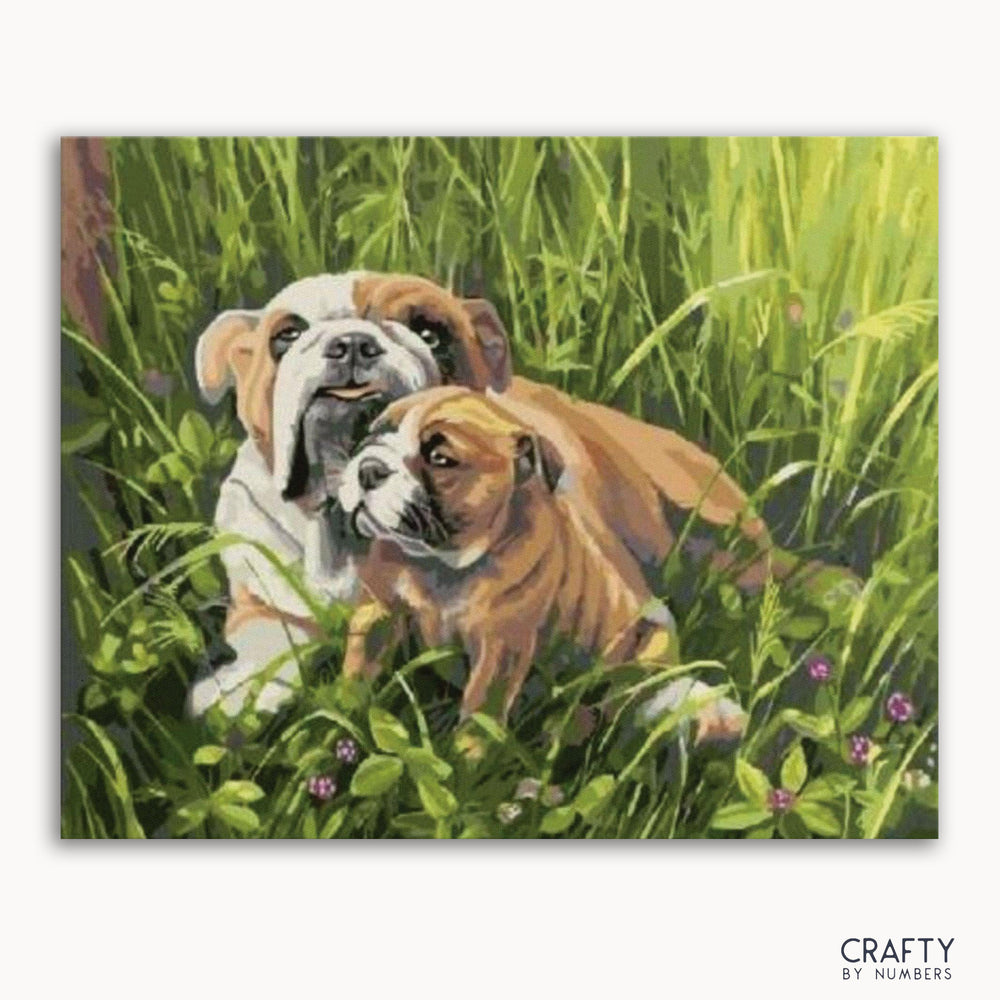A paint-by-numbers kit depicting a bulldog with its puppy lying on grass with flowers around them.